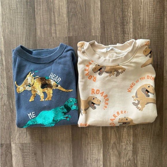 Bundle of h&m boy sweater and sweatshirt - Picture 1 of 8